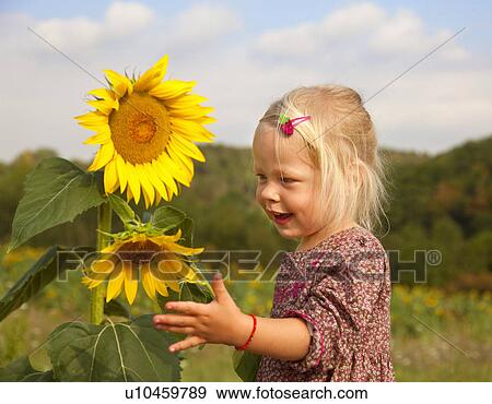 Girl playing with sunflowers in field View Large Photo Image Stock Photo - Girl playing with sunflowers in field. Fotosearch
