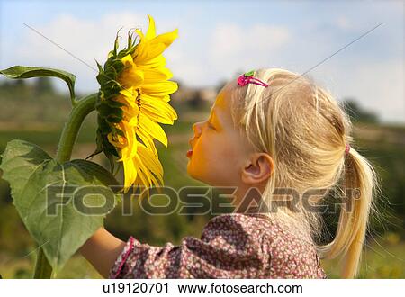 Girl smelling sunflower outdoors View Large Photo Image Stock Image - Girl smelling sunflower outdoors. Fotosearch