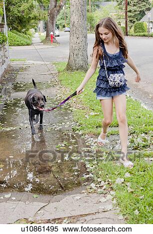 Girl walking her dog in puddle View Large Photo Image Stock Photography - Girl walking her dog in puddle. Fotosearch