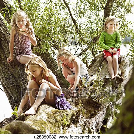 Girls relaxing in tree by lake View Large Photo Image Stock Image - Girls relaxing in tree by lake. Fotosearch
