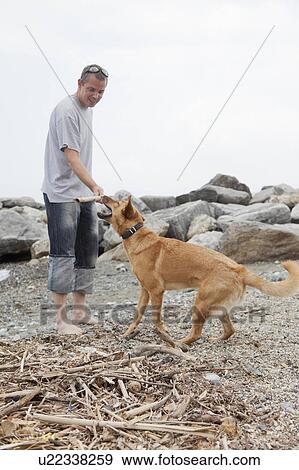 Man playing with dog on rocky beach View Large Photo Image Stock Photo - Man playing with dog on rocky beach. Fotosearch