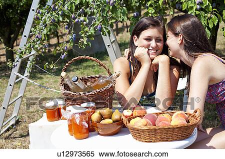 Smiling women picnicking in orchard View Large Photo Image Stock Photography - Smiling women picnicking in orchard. Fotosearch