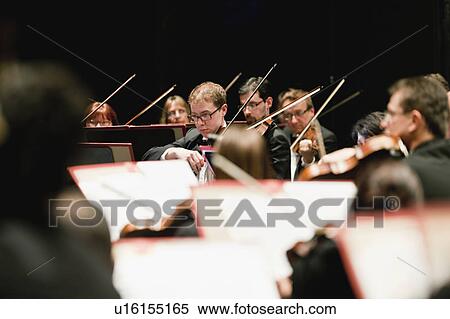 String section in orchestra View Large Photo Image Stock Photography - String section in orchestra. Fotosearch