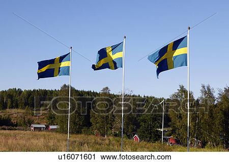 Stock Image - Swedish flags over rural landscape. Fotosearch