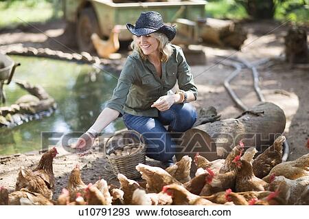 Stock Image - Woman feeding chickens on farm. Fotosearch