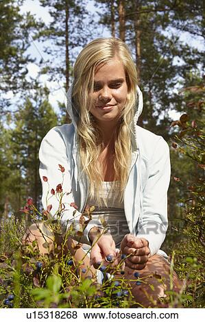 Woman picking berries in forest View Large Photo Image Stock Photo - Woman picking berries in forest. Fotosearch