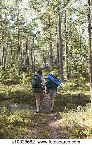 Women hiking in forest together View Large Photo Image Stock Image - Women hiking in forest together. Fotosearch