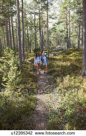 Women hiking in forest together View Large Photo Image Stock Image - Women hiking in forest together. Fotosearch