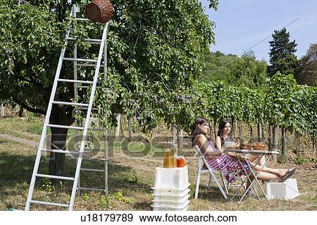 Women picnicking in orchard View Large Photo Image Stock Photo - Women picnicking in orchard. Fotosearch