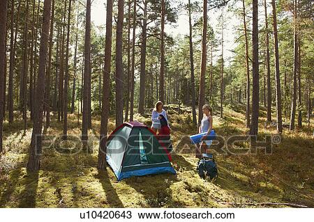 Stock Image - Women setting up campsite in forest. Fotosearch