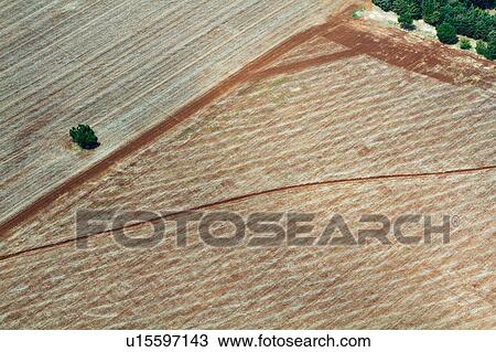 Aerial view of cultivated and ploughed fields creating graphic diagonal lines, brown and green, Kenya, East Africa View Large Photo Image Stock Image - Aerial view of cultivated and ploughed fields creating graphic diagonal lines, brown and green, Kenya, East Africa. Fotosearch