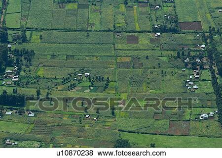 Stock Photo - Aerial view of lush green maize and tea plantations, creating dramatic patterns, Kenya, East Africa. Fotosearch