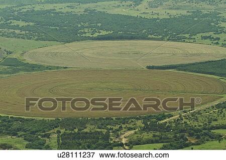 Stock Photo - Aerial view of two vast circular centre pivot irrigation systems, Kenya, East Africa. Fotosearch