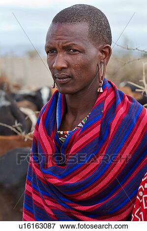 Stock Photo - Close up side view of Masai warrior, wearing traditional red and blue shuka and beaded jewellery, cattle in background, Amboseli, Kenya, East Africa. Fotosearch