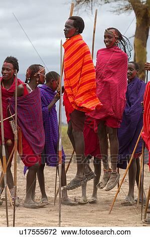 Stock Image - Masai aduma: close up of group of young Masai warriors dancing, with two jumping high in air, all holding traditional sticks, Amboseli, Kenya, East Africa. Fotosearch