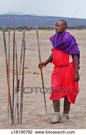 Stock Image - Masai elder dressed in traditional red and blue shuka stands holding spear, with several others stuck into the ground at end of spear competition, Amboseli, Kenya, East Africa. Fotosearch