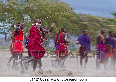 Stock Image - Masai Olympics: group of Masai warriors, all dressed in traditional red and blue shukas, stand in line for spear throwing competition, as one throws his spear, holding traditional stick for balance, Amboseli, Kenya, East Africa. Fotosearch