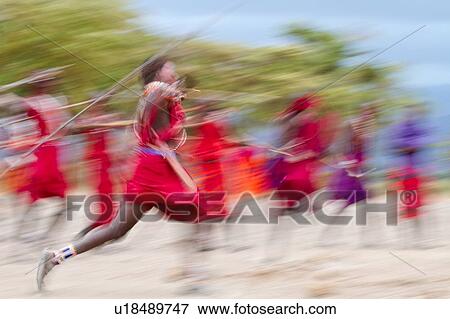 Masai Olympics: group of Masai warriors, all dressed in traditional red and blue shukas, run with spears and sticks in spear throwing competition, motion blur effect, Amboseli, Kenya, East Africa View Large Photo Image Stock Photo - Masai Olympics: group of Masai warriors, all dressed in traditional red and blue shukas, run with spears and sticks in spear throwing competition, motion blur effect, Amboseli, Kenya, East Africa. Fotosearch