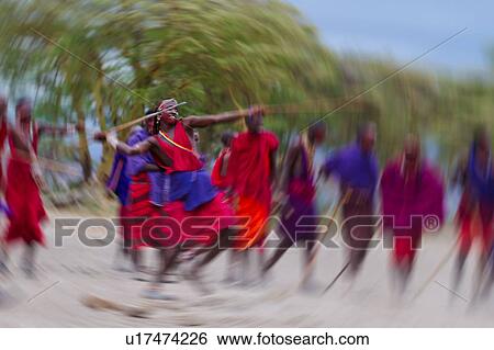 Stock Photograph - Masai Olympics: group of Masai warriors, all dressed in traditional red and blue shukas, stand in line for spear throwing competition, as one throws his spear, holding traditional stick for balance, motion blur effect, Amboseli, Kenya, East Africa. Fotosearch
