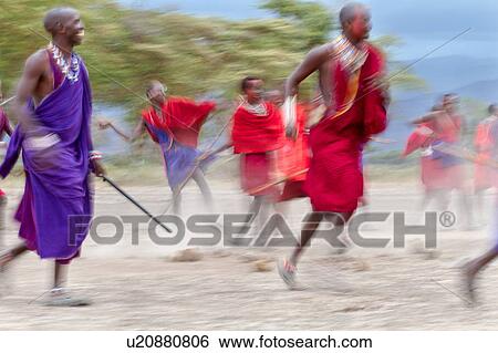 Stock Photograph - Masai Olympics: group of Masai warriors, all dressed in traditional red and blue shukas, run with spears and sticks in spear throwing competition, motion blur effect, Amboseli, Kenya, East Africa. Fotosearch