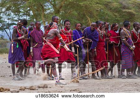 Picture - Masai Olympics: group of nearly twenty Masai warriors, all dressed in traditional red and blue shukas, stand in line for spear throwing competition, as one throws his spear, holding traditional stick for balance, Amboseli, Kenya, East Africa. Fotosearch