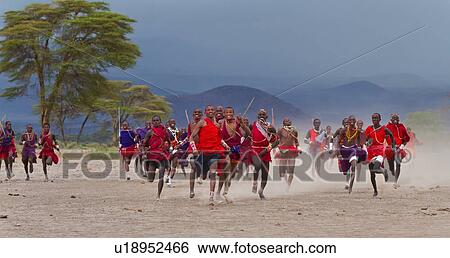 Stock Photograph - Masai Olympics: group of over 20 Masai warriors, all dressed in traditional red and blue shukas, running race on dusty plains, towards viewer, Amboseli, Kenya, East Africa. Fotosearch