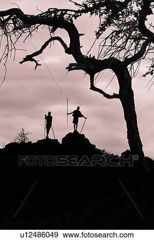 Masai silhouettes: two warriors stand at top of hill in early evening, holding traditional sticks, outlined against bright sky, and framed by tree trunk and branches, Amboseli, Kenya, East Africa View Large Photo Image Stock Photo - Masai silhouettes: two warriors stand at top of hill in early evening, holding traditional sticks, outlined against bright sky, and framed by tree trunk and branches, Amboseli, Kenya, East Africa. Fotosearch