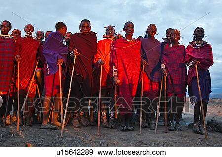 Stock Photo - Masai warriors stand in golden evening sunlight, dressed in traditional red and blue shukas, holding their sticks, with painted faces for celebrations, close up from below, Amboseli, Kenya, East Africa. Fotosearch