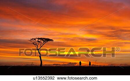 Stock Image - Sunrise silhouettes on the Mara: panorama view of acacia tree, with two Masai men silhouetted against pink orange sky, Masai Mara, Kenya, East Africa. Fotosearch