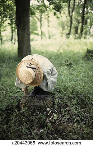 Stock Photography - A young woman in the forest. Fotosearch