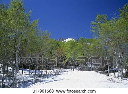 Stock Photo - Amakazari-yama mountain. Fotosearch