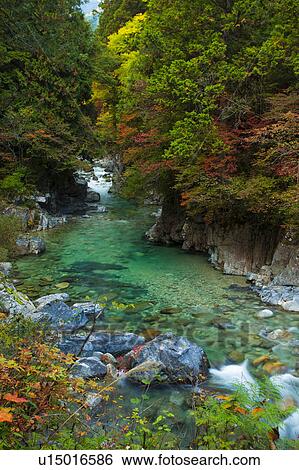 Atera gorge, Nagano Prefecture, Honshu, Japan View Large Photo Image Stock Photograph - Atera gorge, Nagano Prefecture, Honshu, Japan. Fotosearch