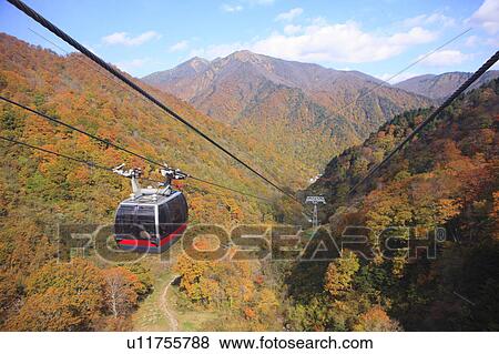 Stock Photo - Autumn leaves Seen from Tanigawa-dake cable car. Fotosearch