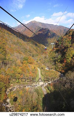 Stock Photo - Autumn leaves Seen from Tanigawa-dake cable car. Fotosearch
