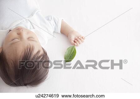 Baby Sleeping with Leaf in Hand View Large Photo Image Stock Photo - Baby Sleeping with Leaf in Hand. Fotosearch