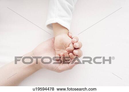 Baby's Hand in Mother's Hand View Large Photo Image Stock Photo - Baby's Hand in Mother's Hand. Fotosearch