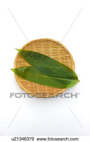Stock Photo - Bamboo Leaves on Colander. Fotosearch