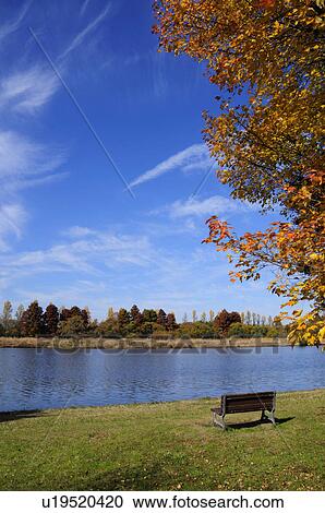 Stock Image - Bench in Park in Autumn. Fotosearch