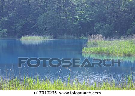 Benten-numa pond, One of the Goshiki (five colored) ponds in Fukushima Prefecture, Honshu Japan View Large Photo Image Stock Photography - Benten-numa pond, One of the Goshiki (five colored) ponds in Fukushima Prefecture, Honshu Japan. Fotosearch