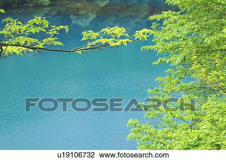 Stock Image - Bishamon-numa pond, One of the Goshiki (five colored) ponds in Fukushima Prefecture, Honshu Japan. Fotosearch