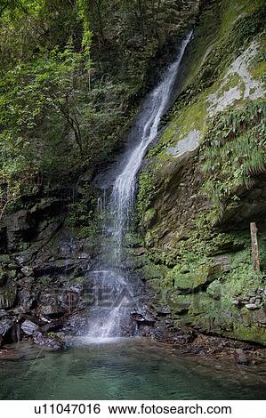 Biwa Falls in Tokushima Prefecture, Japan View Large Photo Image Stock Photograph - Biwa Falls in Tokushima Prefecture, Japan. Fotosearch