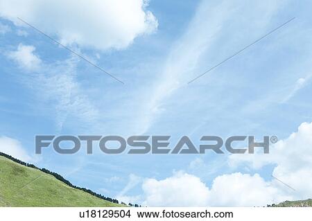 Picture - Blue Sky Over Field. Fotosearch