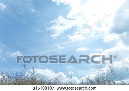 Stock Photo - Blue Sky Over Field. Fotosearch