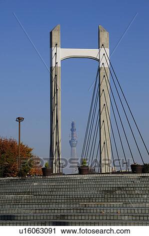Bridge and Tokyo Sky Tree View Large Photo Image Stock Image - Bridge and Tokyo Sky Tree. Fotosearch