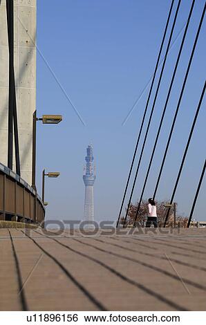 Bridge and Tokyo Sky Tree View Large Photo Image Stock Photograph - Bridge and Tokyo Sky Tree. Fotosearch