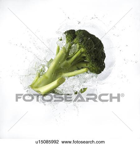 Stock Image - Broccoli Falling Into Water. Fotosearch