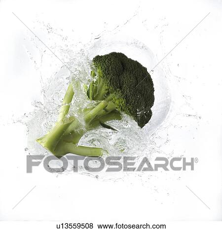 Broccoli Falling Into Water View Large Photo Image Stock Photo - Broccoli Falling Into Water. Fotosearch