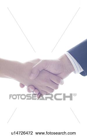 Businesswoman and Businessman Shaking Hands View Large Photo Image Stock Image - Businesswoman and Businessman Shaking Hands. Fotosearch