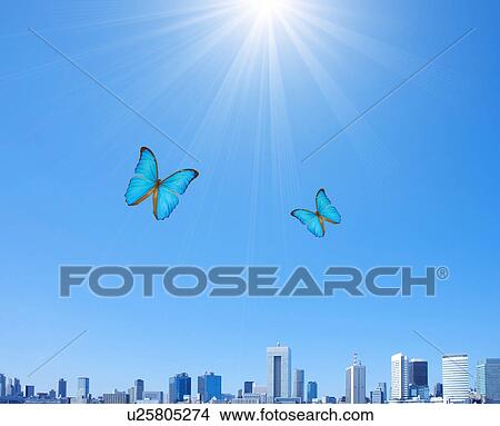 Picture - Butterflies Over City. Fotosearch