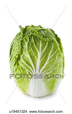 Chinese cabbage View Large Photo Image Picture - Chinese cabbage . Fotosearch